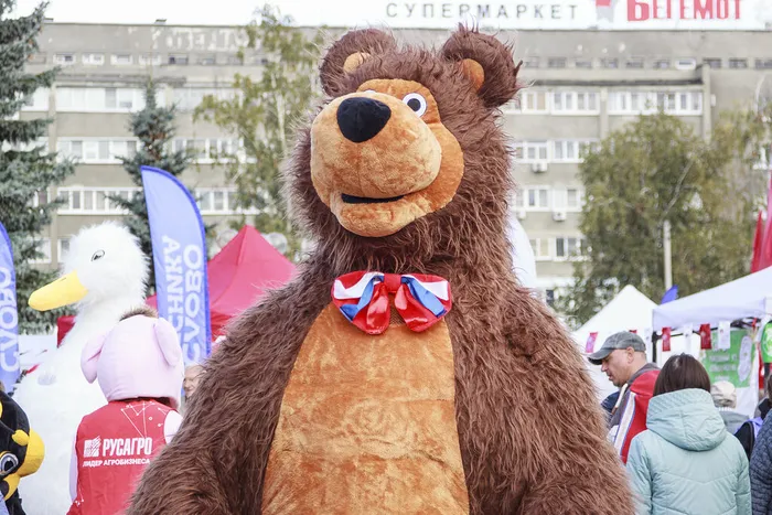 10.10.2026. Большая осенняя ярмарка у ЛДС «Кристалл».